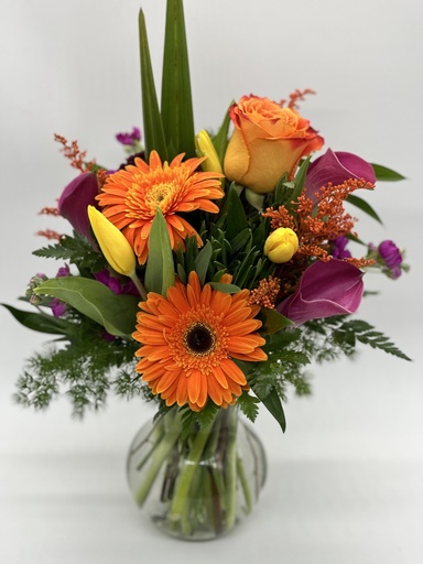 $100 Designers Choice